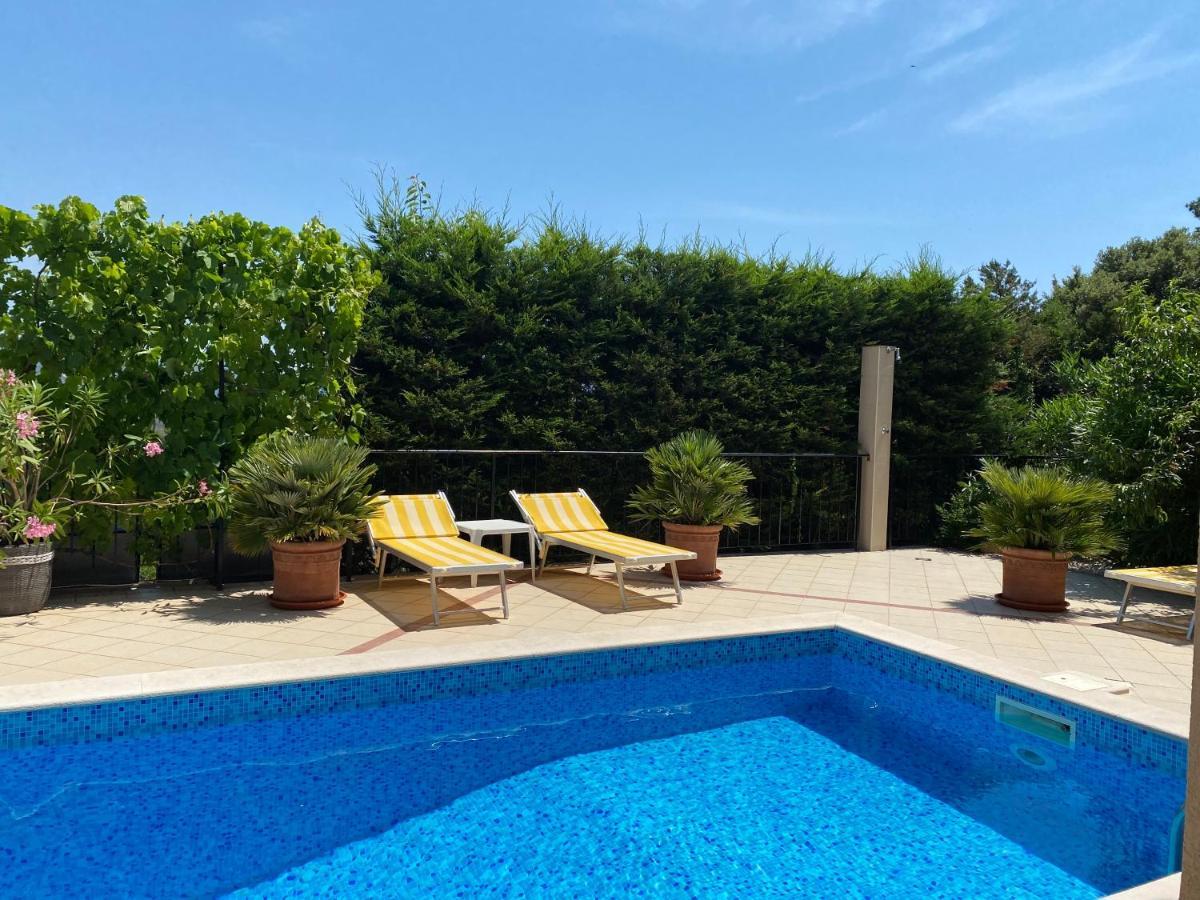 Apartments Villa Viktoria Tivat Exterior photo